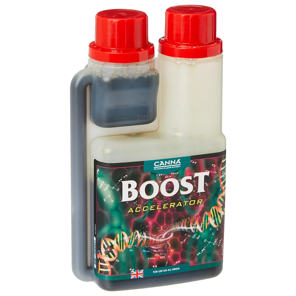 Boost Accelerator 1 Litro - Canna