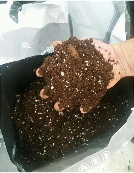 Sustrato All Mix 20L - Biobizz - Green Growshop