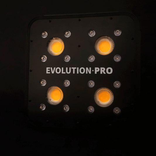 Apollo Pro Evolution 4