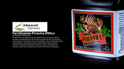 Piranha 250ml - Advanced Nutrients - Green Growshop