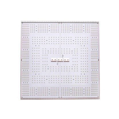 Quatum Square C320