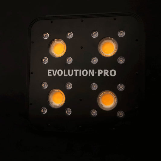 Apollo Evolution 4 Pro 150w - Delight | Green Growshop