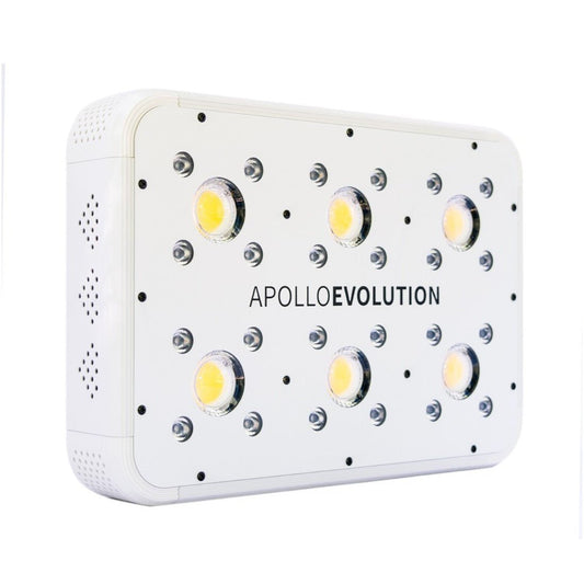 Apollo Evolution 6 180w - Delight | Green Growshop