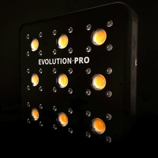 Apollo Evolution 9 Pro 300w - Delight | Green Growshop