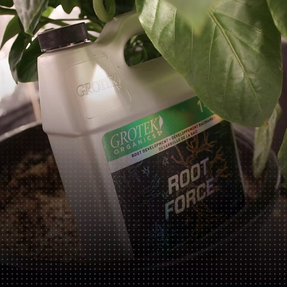 Root Force 500ml Grotek - Green Growshop