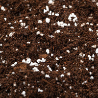 Sustrato Light Mix 50L - Biobizz - Green Growshop