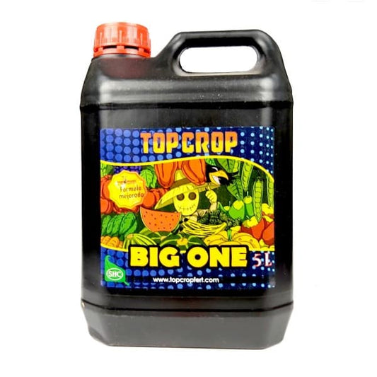 Big One 5L - Top Crop