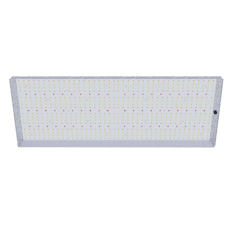 QUANTUM BOARD 300W NANOLUX - GreenGrow