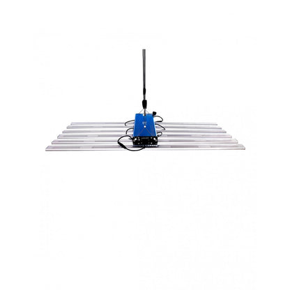 Quatum Square L520 - Delight - Green Growshop